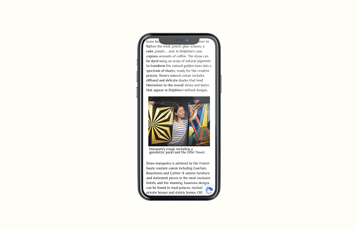 Mobile view